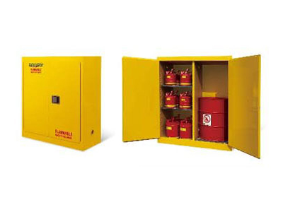 Double Door Safety Storage Cabinet